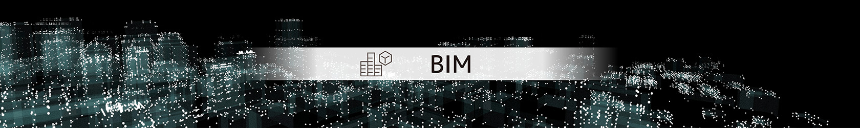 BIM